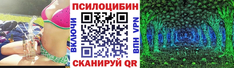 где продают   Костомукша  Галлюциногенные грибы Psilocybine cubensis 